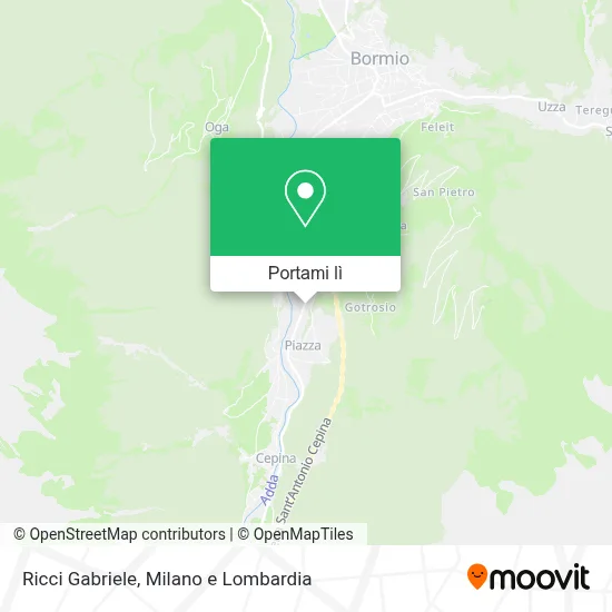 Mappa Ricci Gabriele
