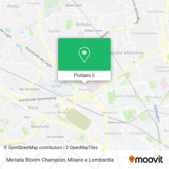 Mappa Merlata Bloom Champion