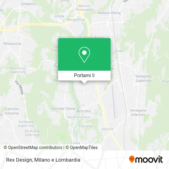 Mappa Rex Design