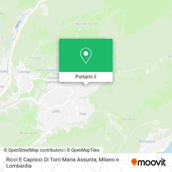 Mappa Ricci E Capricci Di Torri Maria Assunta