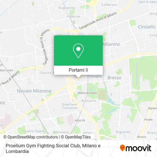 Mappa Proelium Gym Fighting Social Club