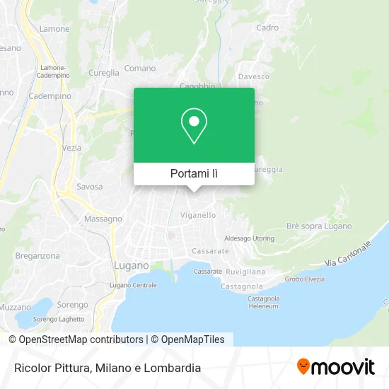 Mappa Ricolor Pittura