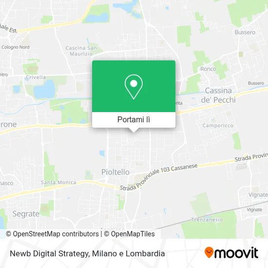 Mappa Newb Digital Strategy