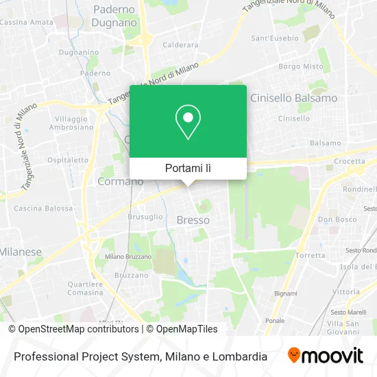 Mappa Professional Project System