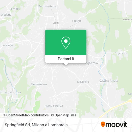 Mappa Springfield Srl