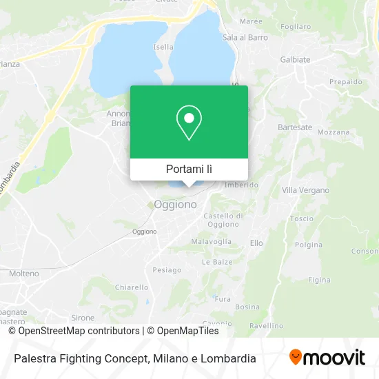 Mappa Palestra Fighting Concept