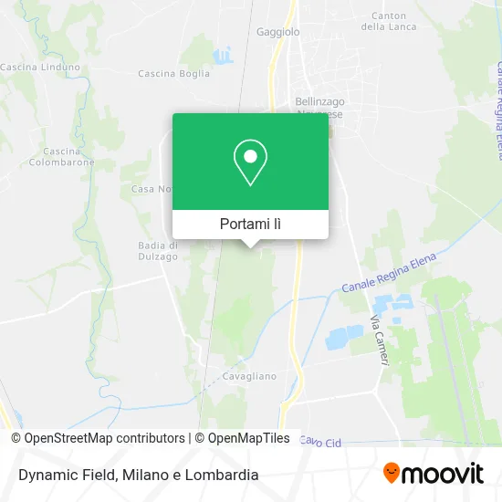 Mappa Dynamic Field