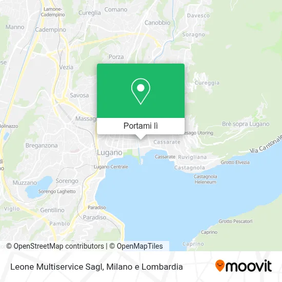 Mappa Leone Multiservice Sagl