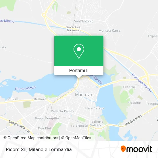 Mappa Ricom Srl