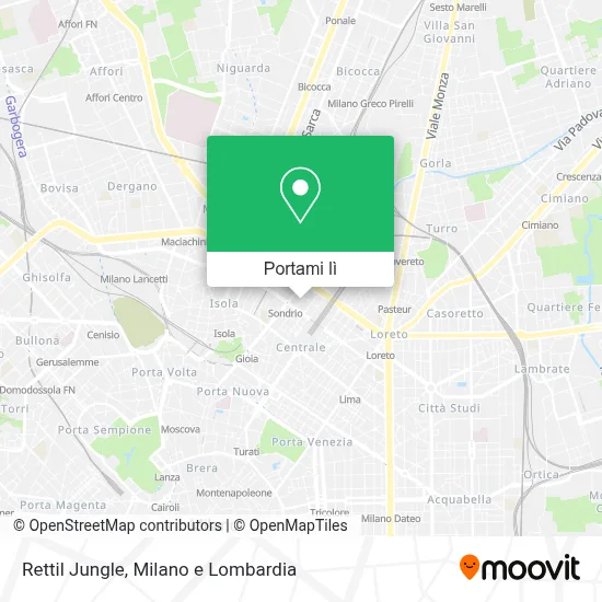 Mappa Rettil Jungle