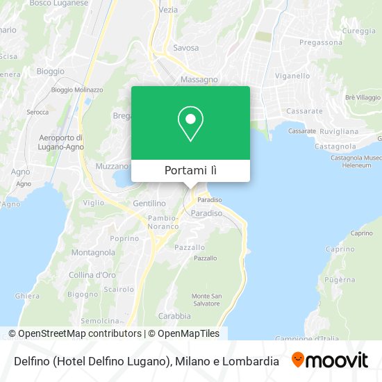 Mappa Delfino (Hotel Delfino Lugano)