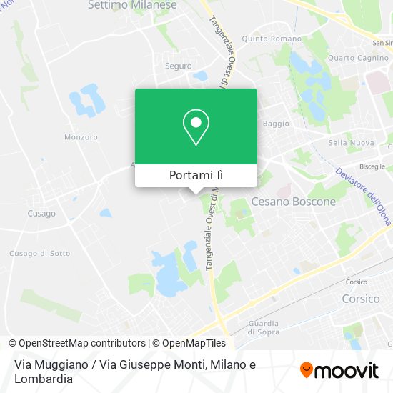 Mappa Via Muggiano / Via Giuseppe Monti