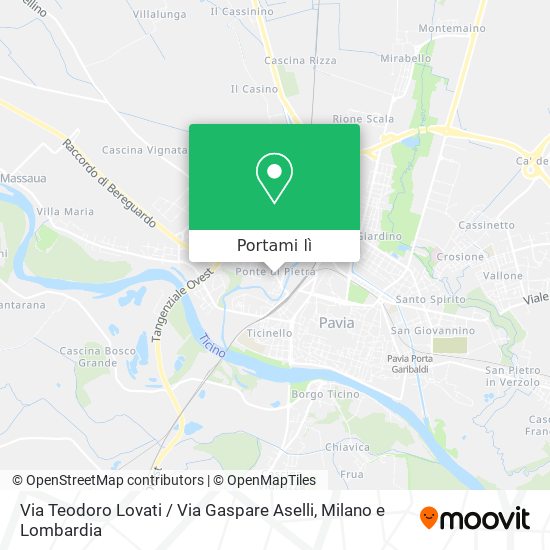 Mappa Via Teodoro Lovati / Via Gaspare Aselli