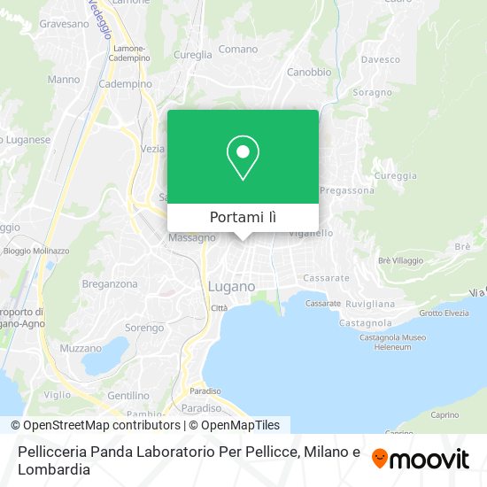 Mappa Pellicceria Panda Laboratorio Per Pellicce