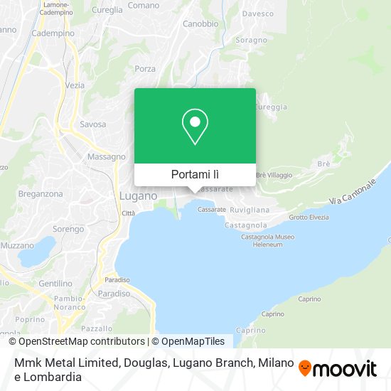 Mappa Mmk Metal Limited, Douglas, Lugano Branch