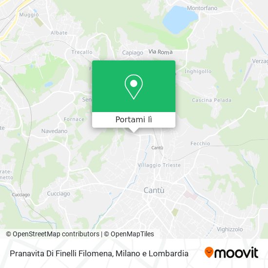Mappa Pranavita Di Finelli Filomena