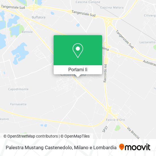Mappa Palestra Mustang Castenedolo