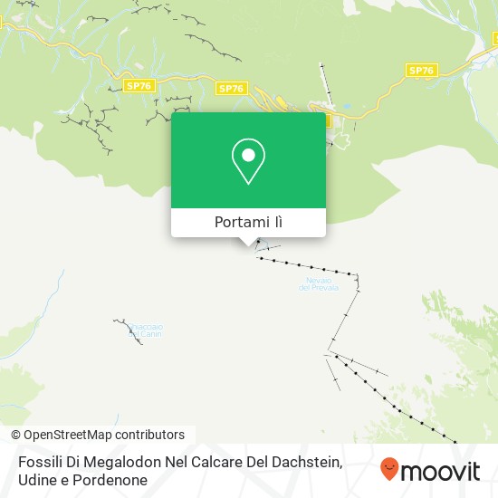 Mappa Fossili Di Megalodon Nel Calcare Del Dachstein