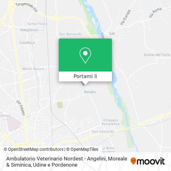 Mappa Ambulatorio Veterinario Nordest - Angelini, Moreale & Siminica