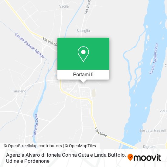 Mappa Agenzia Alvaro di Ionela Corina Guta e Linda Buttolo