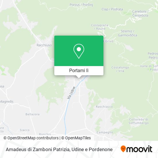 Mappa Amadeus di Zamboni Patrizia