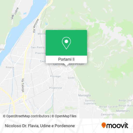 Mappa Nicoloso Dr. Flavia