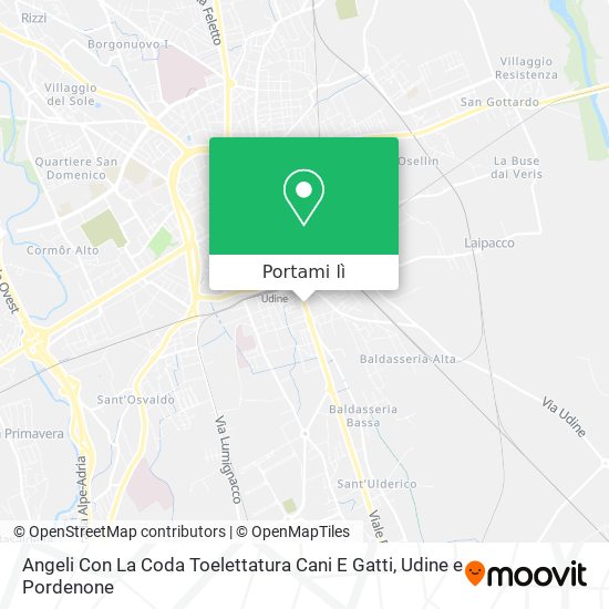 Mappa Angeli Con La Coda Toelettatura Cani E Gatti