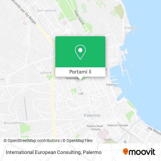 Mappa International European Consulting