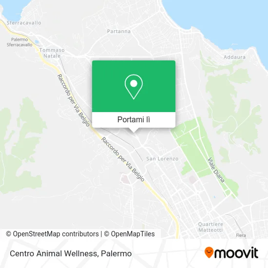 Mappa Centro Animal Wellness