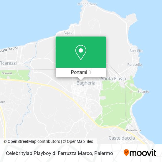 Mappa Celebritylab Playboy di Ferruzza Marco