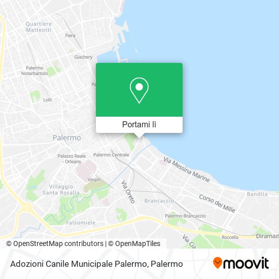 Mappa Adozioni Canile Municipale Palermo