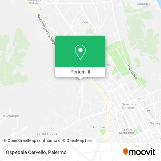 Mappa Ospedale Cervello
