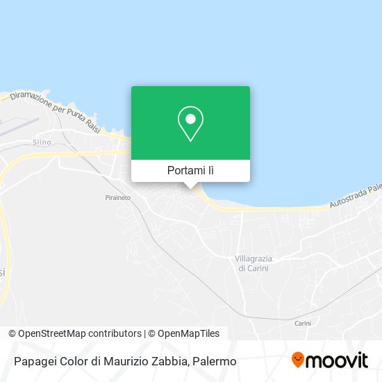 Mappa Papagei Color di Maurizio Zabbia