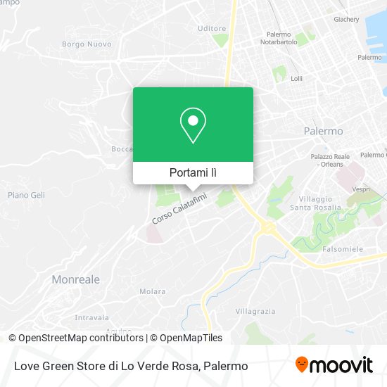 Mappa Love Green Store di Lo Verde Rosa