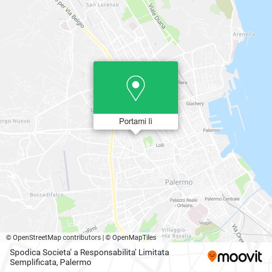 Mappa Spodica Societa' a Responsabilita' Limitata Semplificata