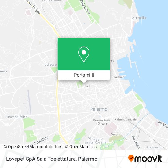 Mappa Lovepet SpA Sala Toelettatura