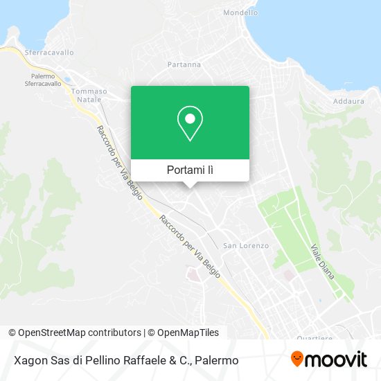Mappa Xagon Sas di Pellino Raffaele & C.