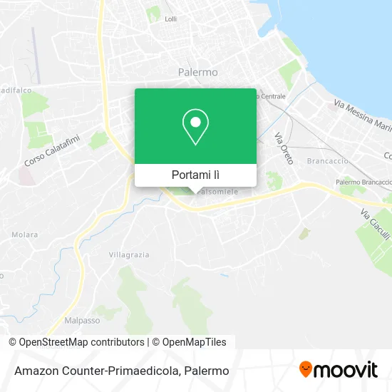 Mappa Amazon Counter-Primaedicola