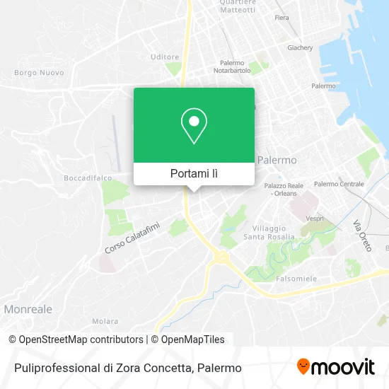 Mappa Puliprofessional di Zora Concetta