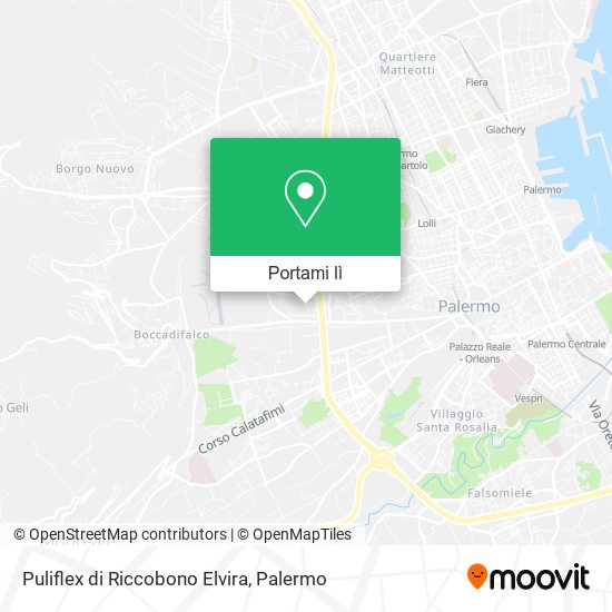 Mappa Puliflex di Riccobono Elvira