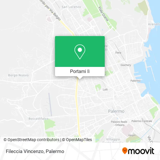 Mappa Fileccia Vincenzo