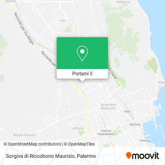 Mappa Sorgiva di Riccobono Maurizio