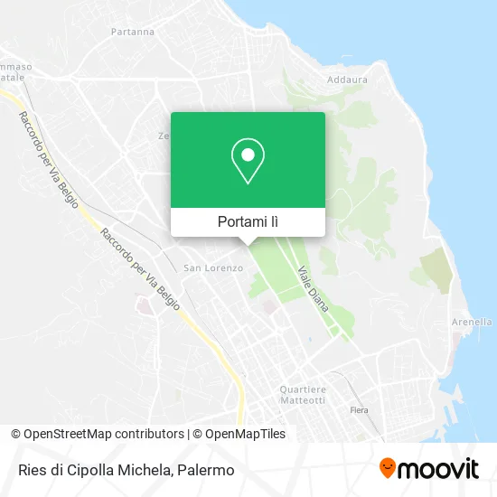 Mappa Ries di Cipolla Michela