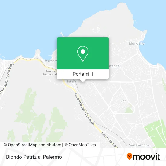 Mappa Biondo Patrizia