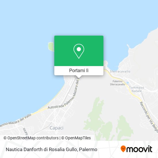 Mappa Nautica Danforth di Rosalia Gullo