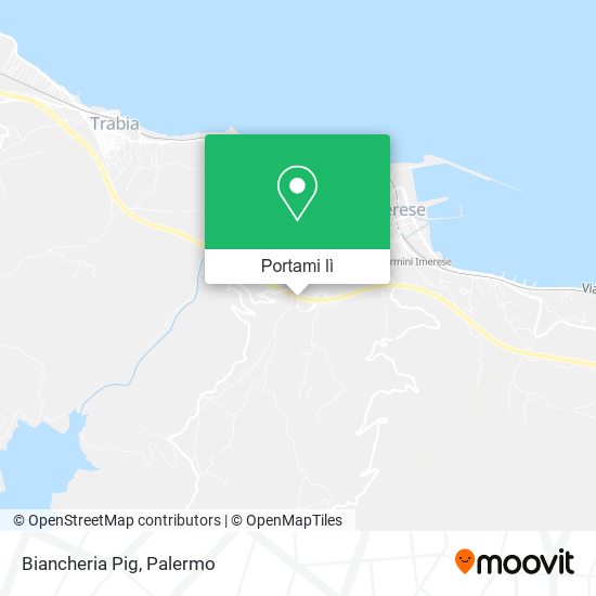 Mappa Biancheria Pig