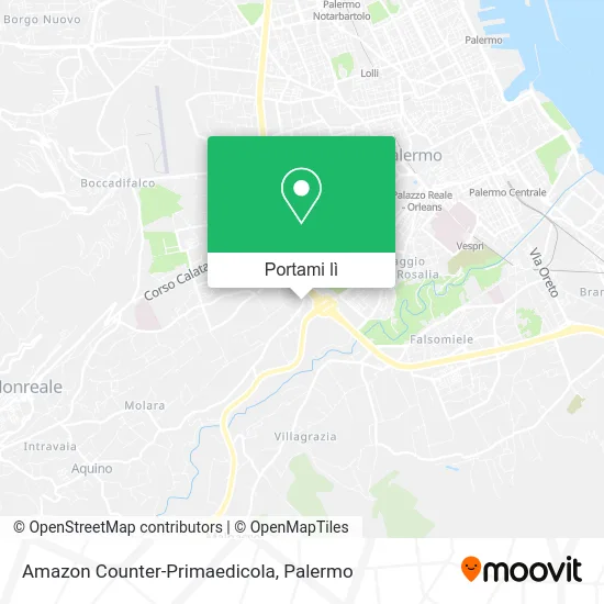 Mappa Amazon Counter-Primaedicola