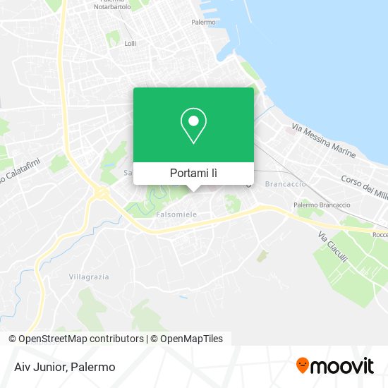 Mappa Aiv Junior