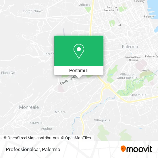 Mappa Professionalcar