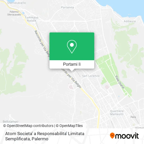 Mappa Atom Societa' a Responsabilita' Limitata Semplificata